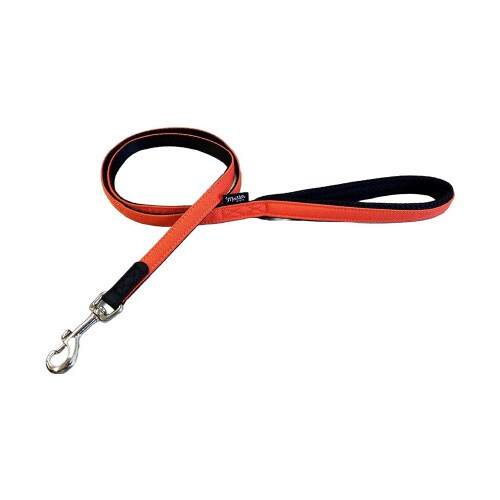 マイスターライフソフティーリード プレー