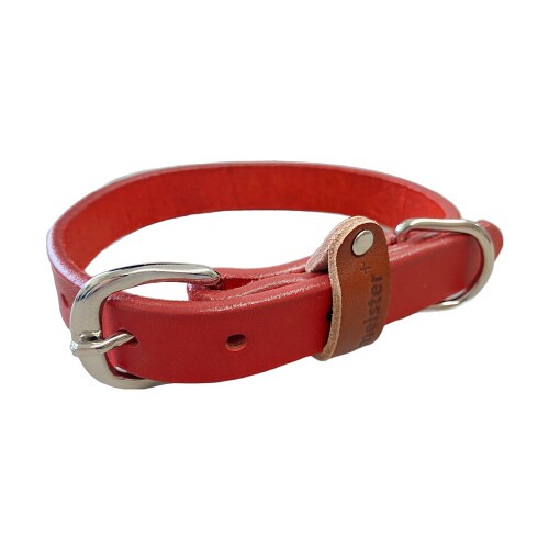 マイスタープラスレザーカラー#21レッド