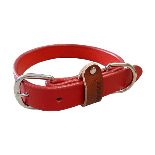 マイスタープラスレザーカラー#24レッド