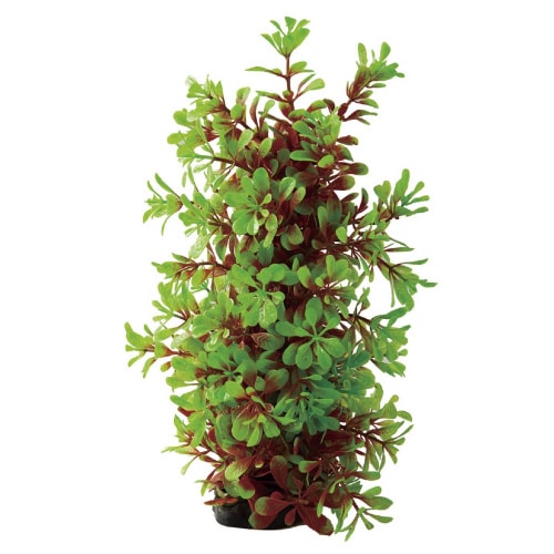 テトラ フレキシブルプラント FP‐6