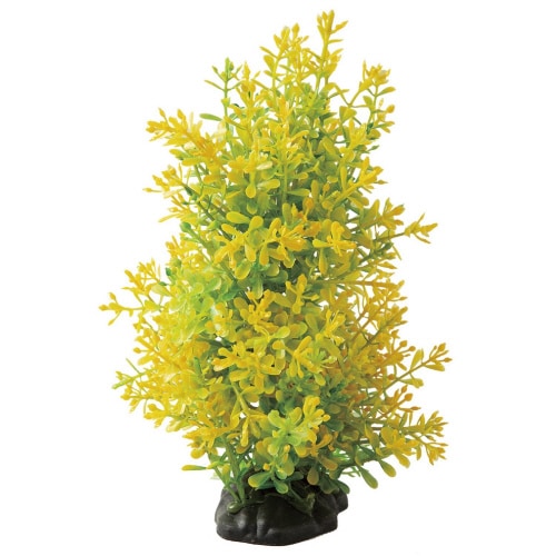 テトラ フレキシブルプラント FP‐5