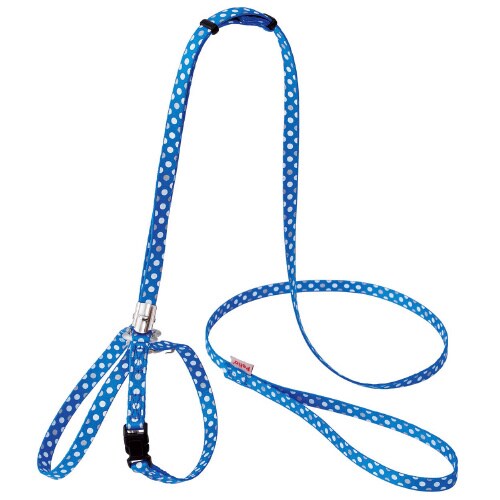 CLドットハーネスリードBL