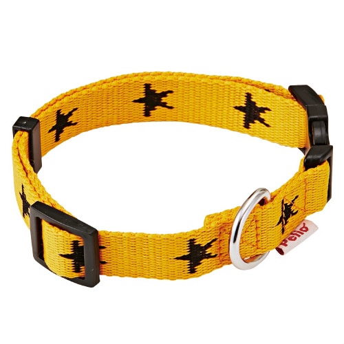 Pメリカジ スターカラー オレンジ