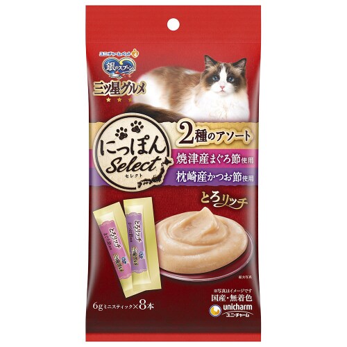銀のスプーン三ツ星グルメおやつにっぽんS