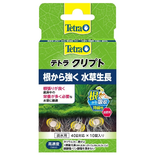 T541テトラクリプト