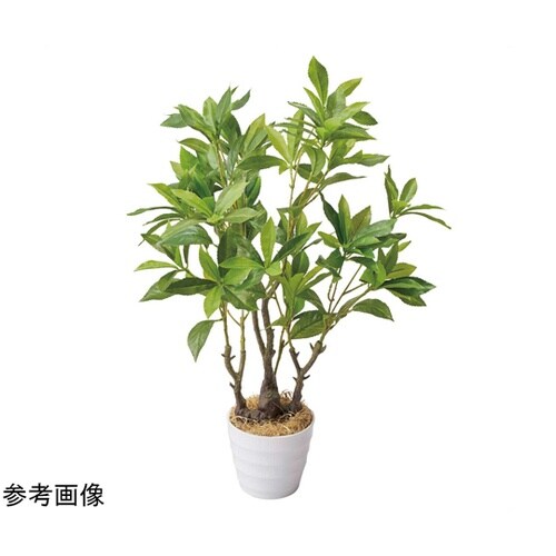 フェイクグリーンポット アセビ 55−2