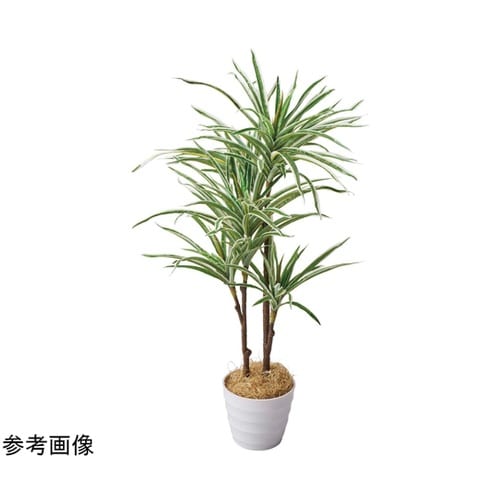 フェイクグリーンポット オリヅルラン 5