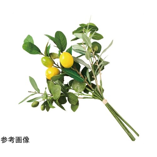 シチリアンバンドル 1束 55−24−2