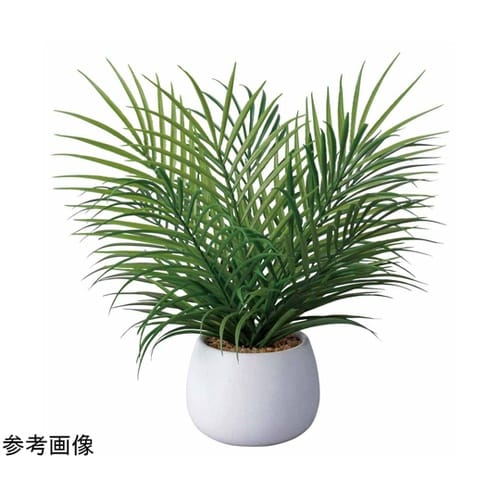 フェイクグリーン セラミックポット ヤシ