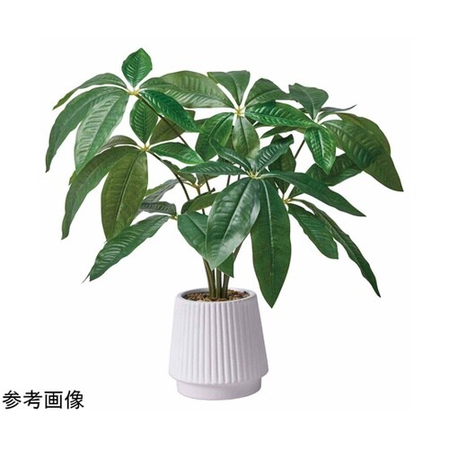 フェイクグリーン セラミックポット パキ