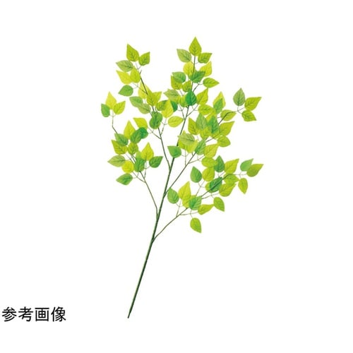 グリーンリーフ 大枝 6本 55−24−