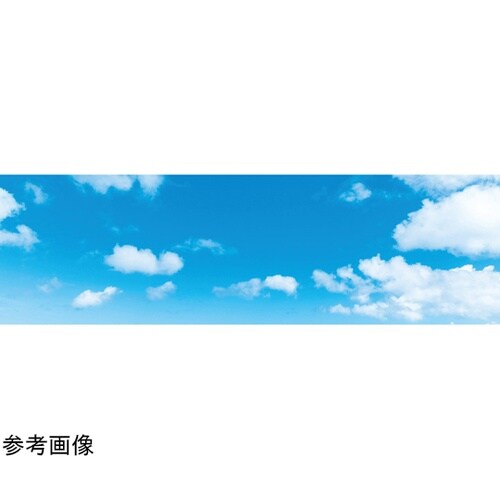 ディスプレイシート 空 55−33−2−