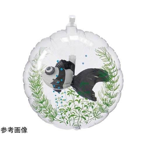 金魚鉢バルーン パンダ出目金 5個組 5