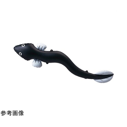 エアポップ うなぎ 55−42−5−1