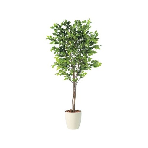 ZST4803スプラッシュトリプル1.5