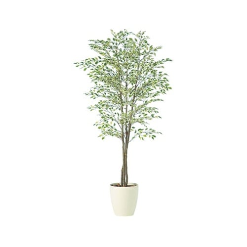 ZST5203スターライトトリプル1.5