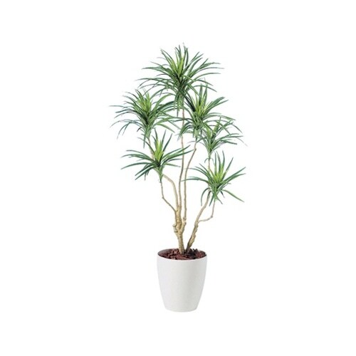 ZST6301コンシナトリコロル1.4m