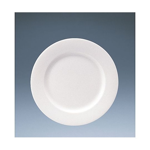 RPT4801 21cmデザート皿