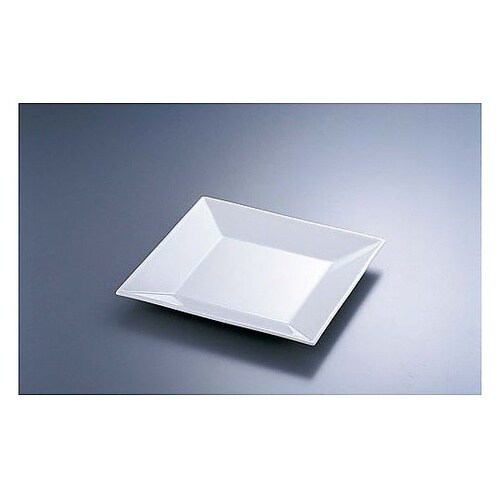 RTZZ801 20cmプレート