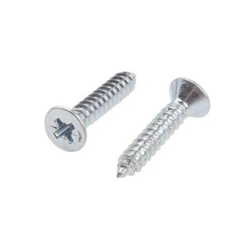 タッピング ネジ 1インチ 皿頭 鋼 光