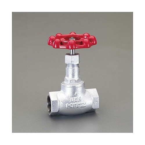 Rc1・1/4” グローブバルブ(ダクタ