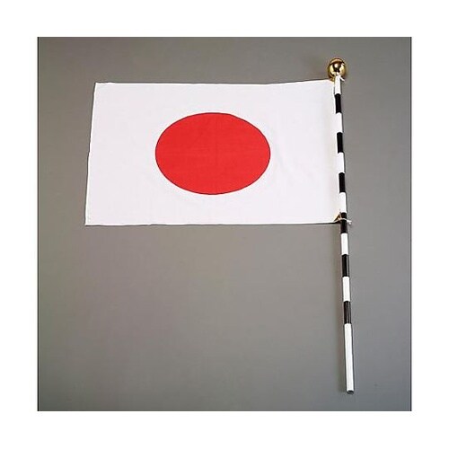 700x 900mm 国旗セット(組立式