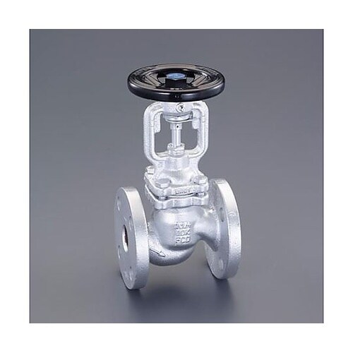 25A ベローズバルブ(フランジ式) E