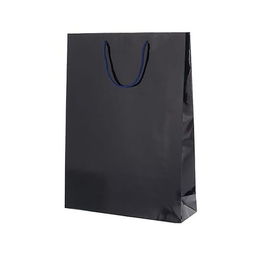 380x120x520mm 紙袋(フィル