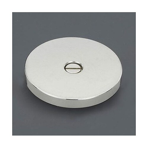 φ100x12mm/M10 接極子プレー