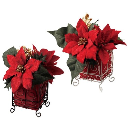 クリスマスポインセチア キューブポット