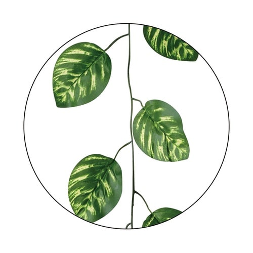 デラックスガーランド ピーコック 3本入