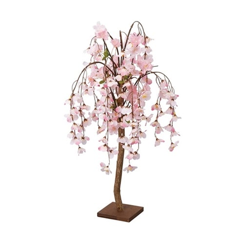 シダレ桜立ち木 H58cm(天然木使用)