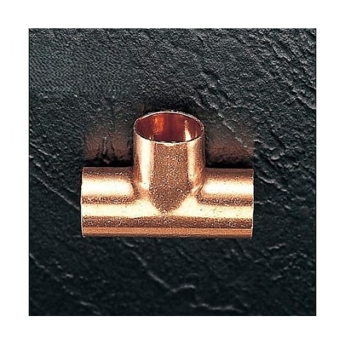 12.70mm チーズ(5個) EA43