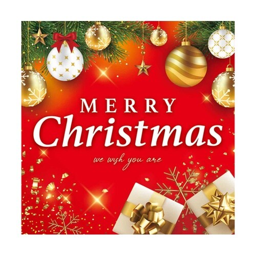 メリークリスマス テーマポスター 両面