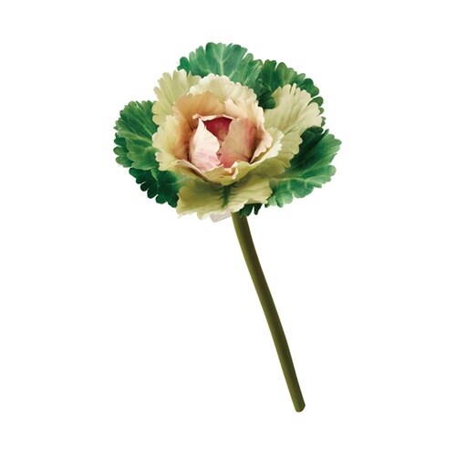 ハボタンスプレー(葉牡丹) 35cm グ