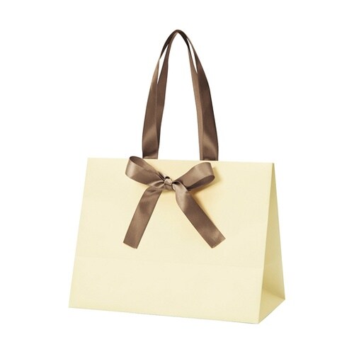手提げ紙袋 ノブレス クリーム M 10