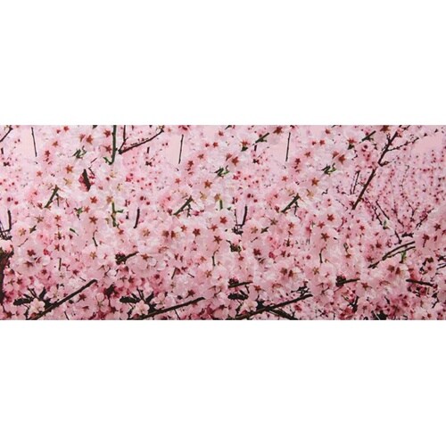 ディスプレイシート 桜満開 200×87