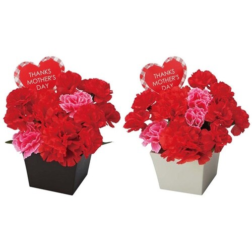 スクエアカーネーションポット 幅15×高