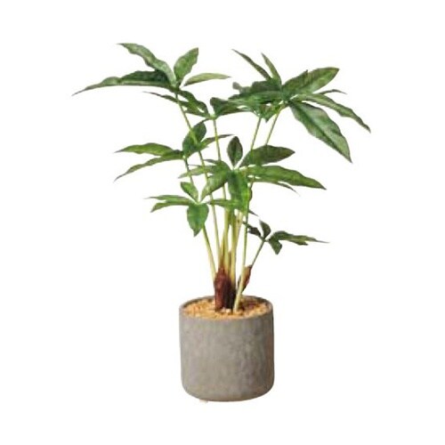 セメントポット パキラ 61−810−6