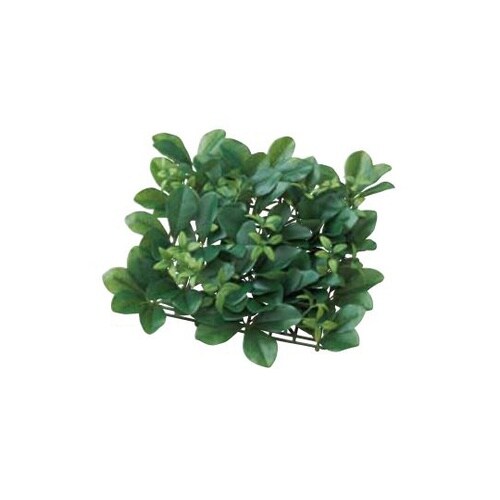 グリーンマット シェフレラ 61−819