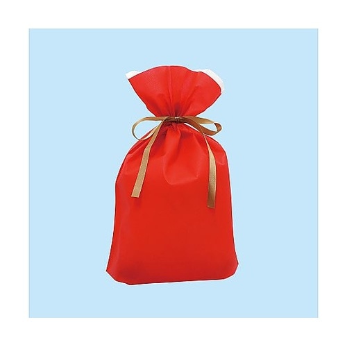 フロンティア 不織布リボン付きギフトバッ