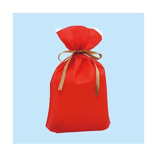 フロンティア 不織布リボン付きギフトバッ