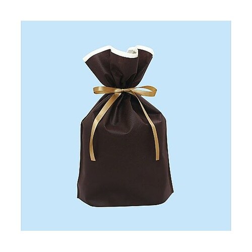 フロンティア 不織布リボン付きギフトバッ