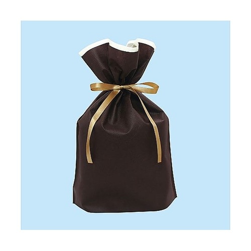 フロンティア 不織布リボン付きギフトバッ