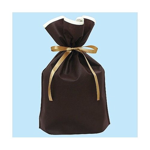 フロンティア 不織布リボン付きギフトバッ