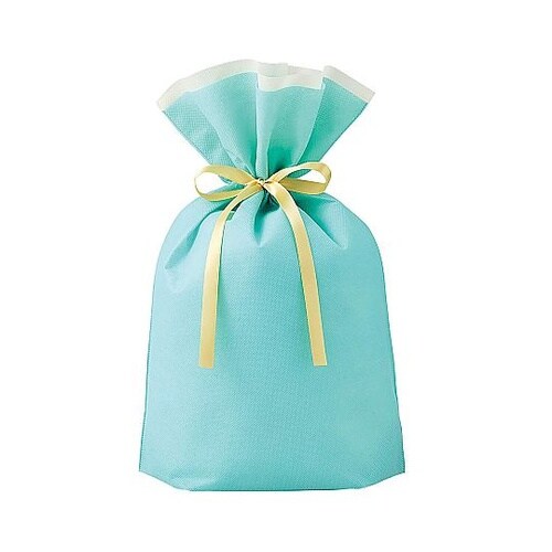 不織布リボン付きギフトバッグ ミント 幅