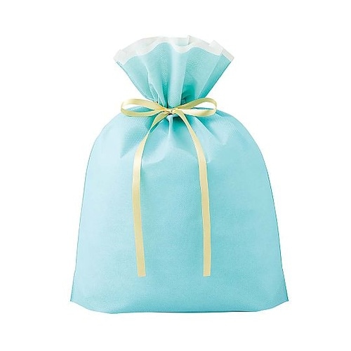 不織布リボン付きギフトバッグ ミント 幅