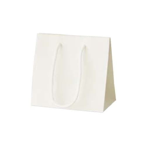 手提げ紙袋 リッテ ホワイト 10枚入