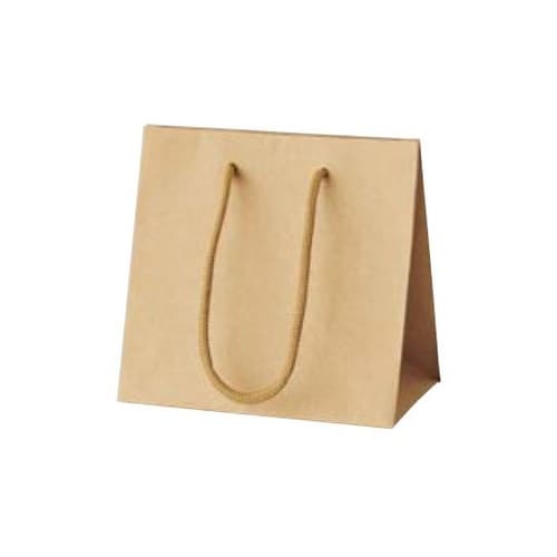 手提げ紙袋 リッテ クラフト 10枚入