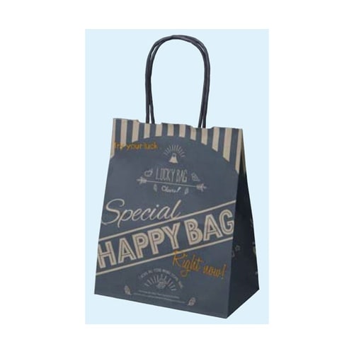 ハッピーバッグ ネイビー 20×12×2